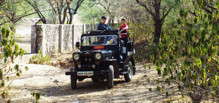 10. Amer Jeep Safari
